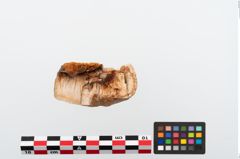 Foto von Elfenbeinschwertknauf (NHMW-PRAE-024490a1)